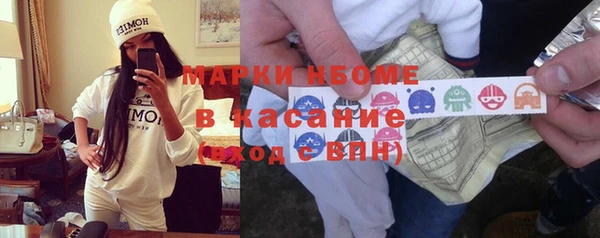 хмурый Бородино