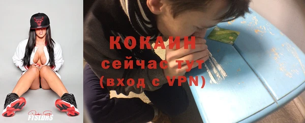 хмурый Бородино