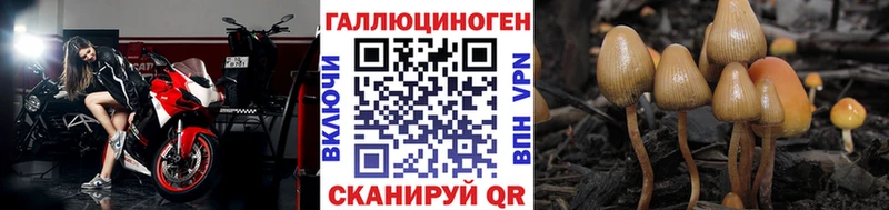 Псилоцибиновые грибы мицелий  Дивногорск 